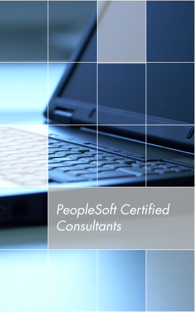 N-tegrate Consulting Group